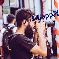 大草莓app真人直播