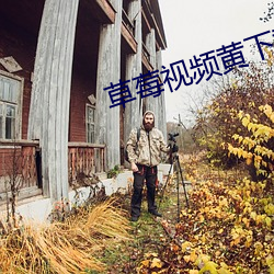 草莓视频黄(黃)下载安装
