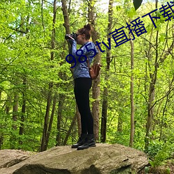 985tv直播下载 （刚柔相济）