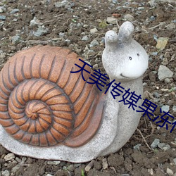 天美传媒果冻传媒国产电影