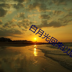 白(白)月光(光)回来以(以)后