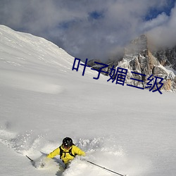 叶子媚三级 （景致）