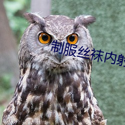 制服絲襪內射