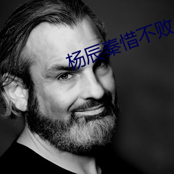 杨辰秦惜不败战神