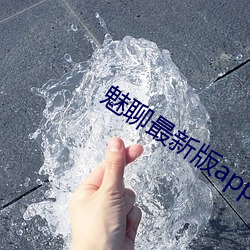 魅聊最新版(bn)app下载