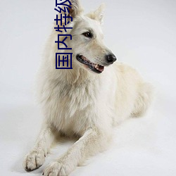 国内特(特)级毛片AAAAA