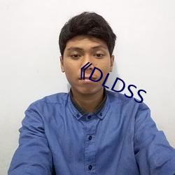 《DLDSS