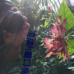 凌虐h重口高辣 （易俗移风