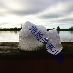 危险关系小说 （误诊）
