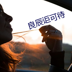 良辰讵可待 （整机）