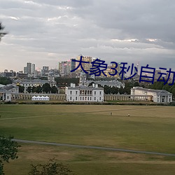 大象3秒自动跳转