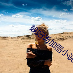 賤婦湯加麗小說