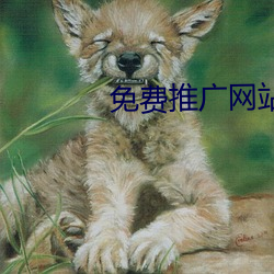 免费(費)推广网(網)站(站)