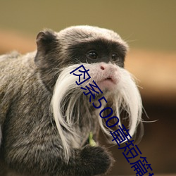 肉系500章短篇txt