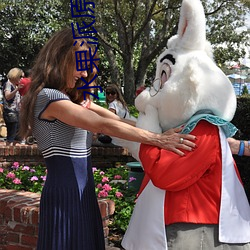 水果(果)派原片