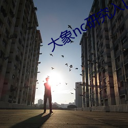 大象nc研(yán)究入口