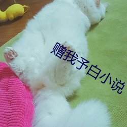 AG真人平台(中国)官方网站
