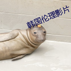 韓國倫理影片