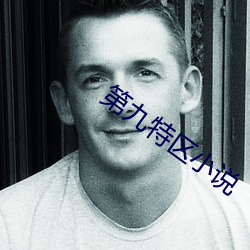 第九特区小说
