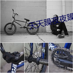 天天躁夜夜躁狠狠综躁