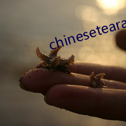 chinesetearachertube
