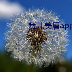 舞兒美眉app