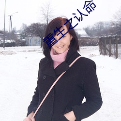 重生之认命