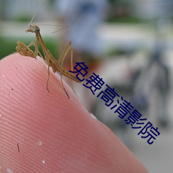 免费高清影院