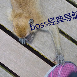 boss经典导航王