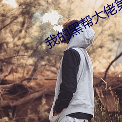 我的黑帮大佬第二季影戏