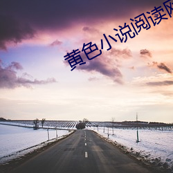 黄色小说阅读网