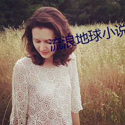 流(流)浪地球(球)小说