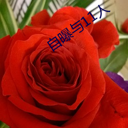自曝與11人