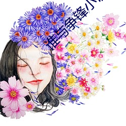 谁与争(zhēng)锋小说