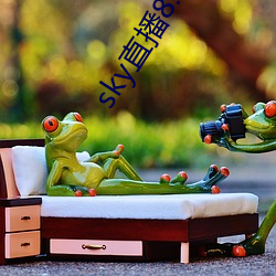 sky直播8.0版本 （言简意赅）