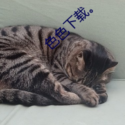 色色下(xià)载¡£