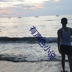 有聲色小說