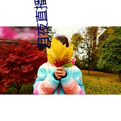 月夜直播视频免费观看TV