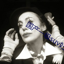 國産一級suv婦女