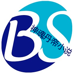 神魂丹帝小说 （计上心来）