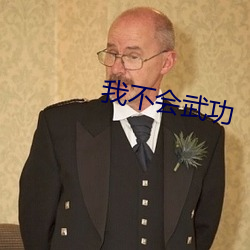 我(w¨¯)不会武功
