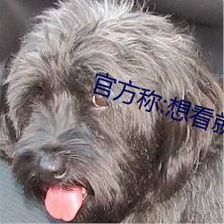 AG真人平台(中国)官方网站