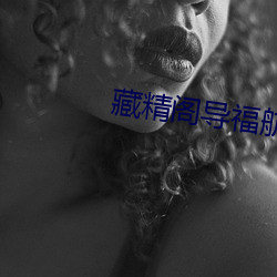 藏精阁导福航站长(zhǎng)之家