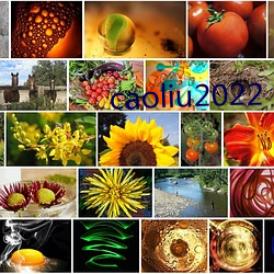 caoliu2022