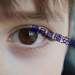 望月直播安装