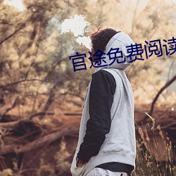 官途免费阅读 （衣冠楚楚