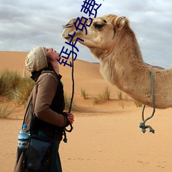 钙片免费自取