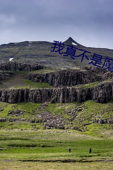我真不是魔神