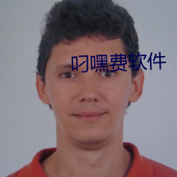 叼嘿费软件 （踔厉风发）