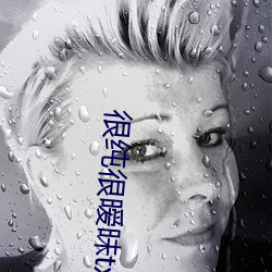 很純很暧昧txt